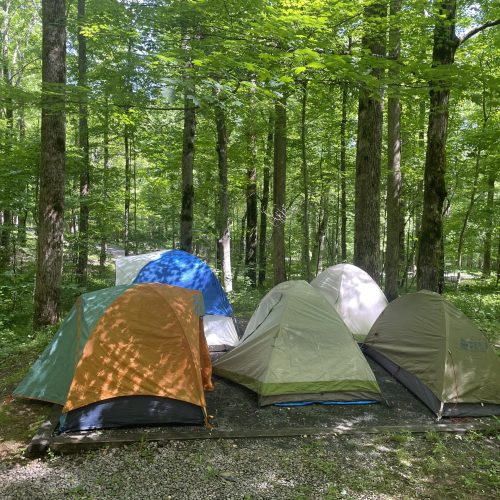 Camping for field work.