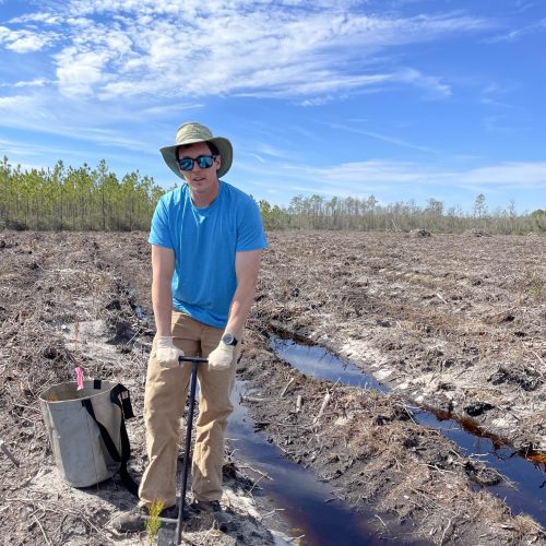 Dr. David Clabo planting pine seedlings