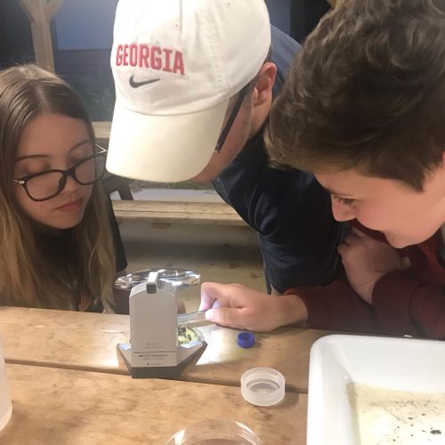 Learning about aquatic insects at a field camp