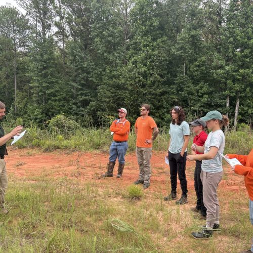 Southern pine beetle training with GFC.