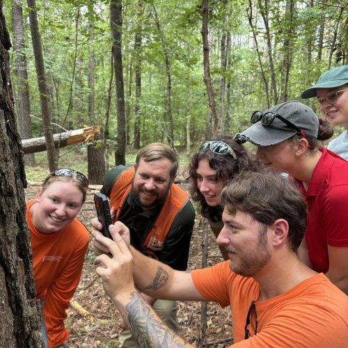 Learning about southern pine beetle